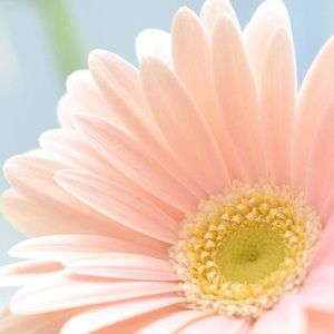 Meet your Posher, Kristin